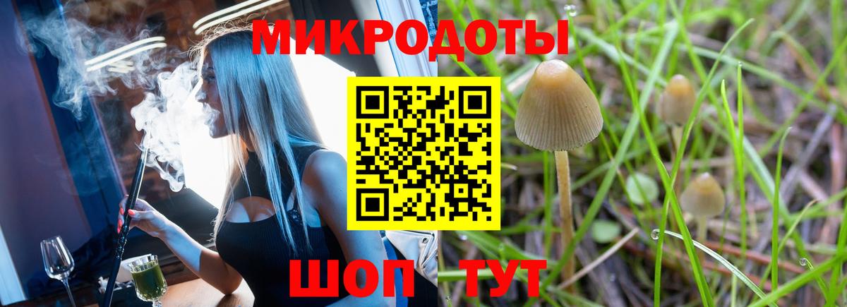 Галлюциногенные грибы прущие грибы  Вход с VPN  Петрозаводск 