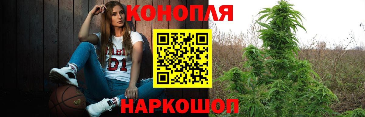 Петрозаводск  Шишки марихуана VHQ  Бошки марихуана семена  МАРИХУАНА конопля  Вход с VPN 